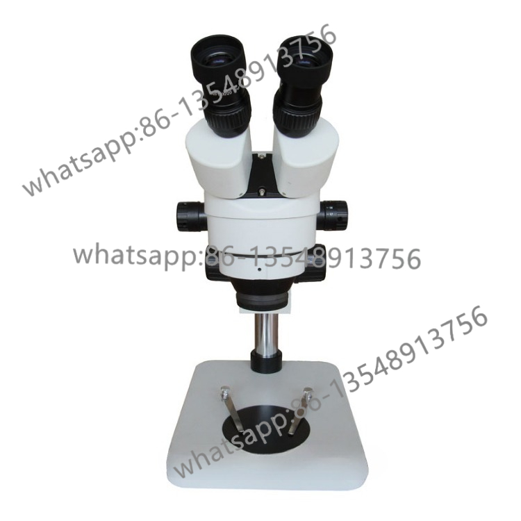 Body Jewelry Repair - 7-45 Continuous variable magnification microscope, mobile