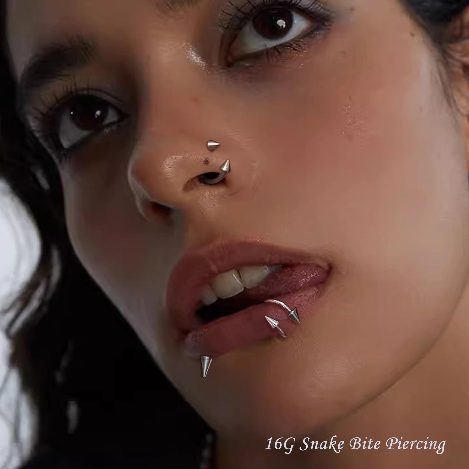 34pcs/Set 16G Snake Bite Pierc - Body Jewelry Vertical Labret のレビューと価格