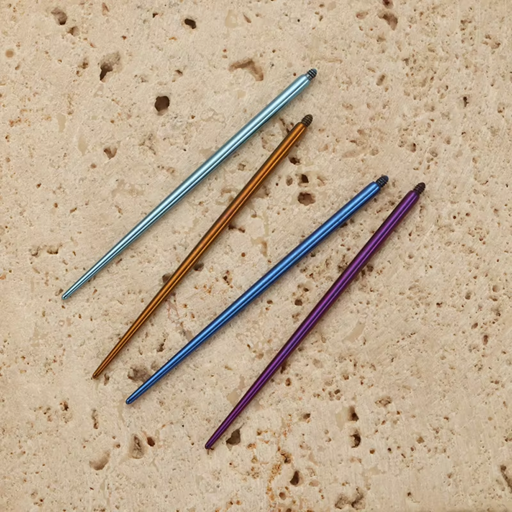 PUTITUP 10-Piece Set Of F136 T - Body Jewelry Implant Grade Titanium のレビューと価格
