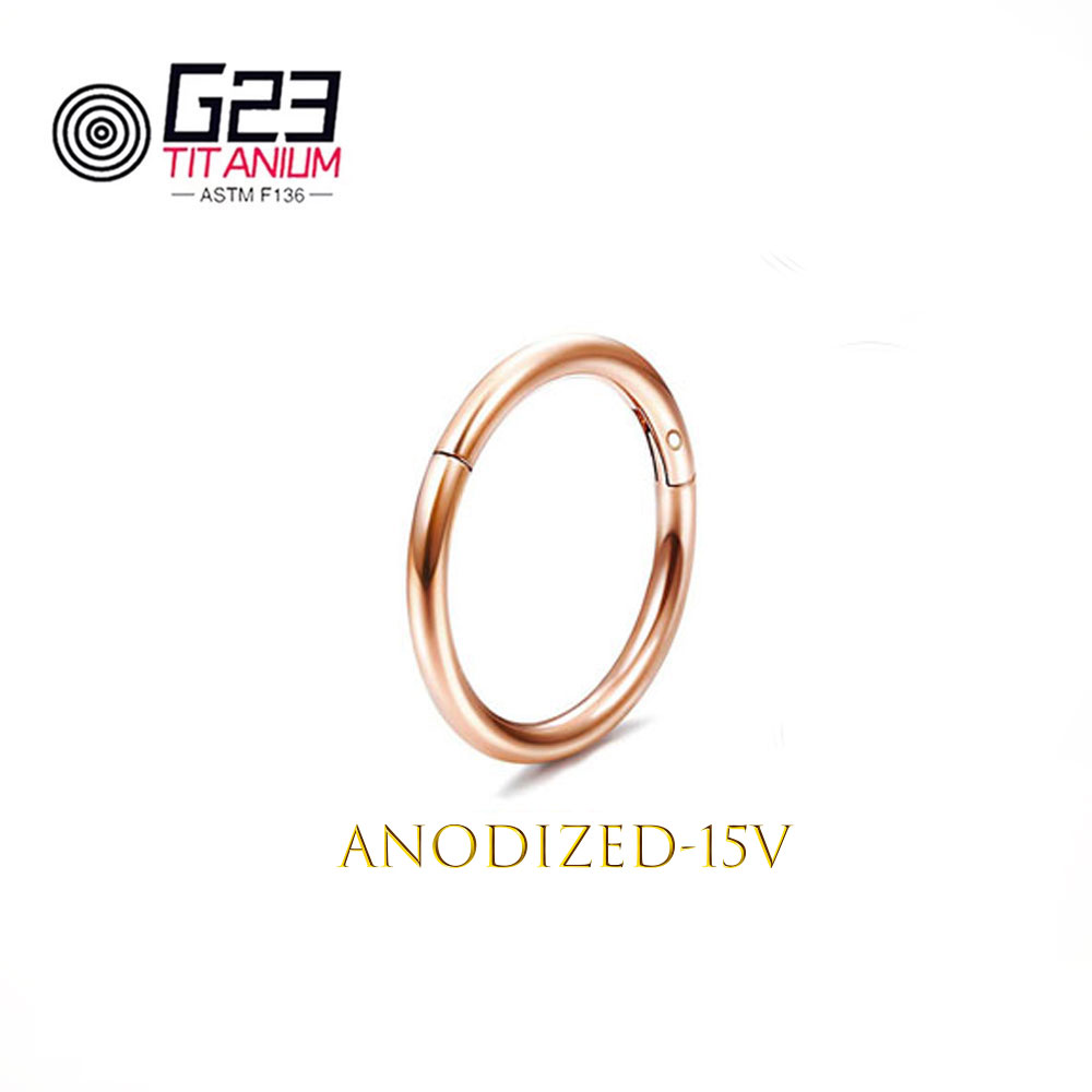 Wholesale G23 Titanium Nose Pi - Body Jewelry Implant Grade Titanium のレビューと価格