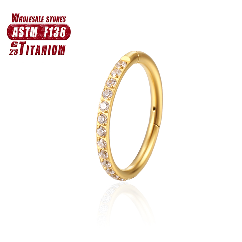 F136 Titanium Nose Ring Implan - Body Jewelry Implant Grade Titanium のレビューと価格