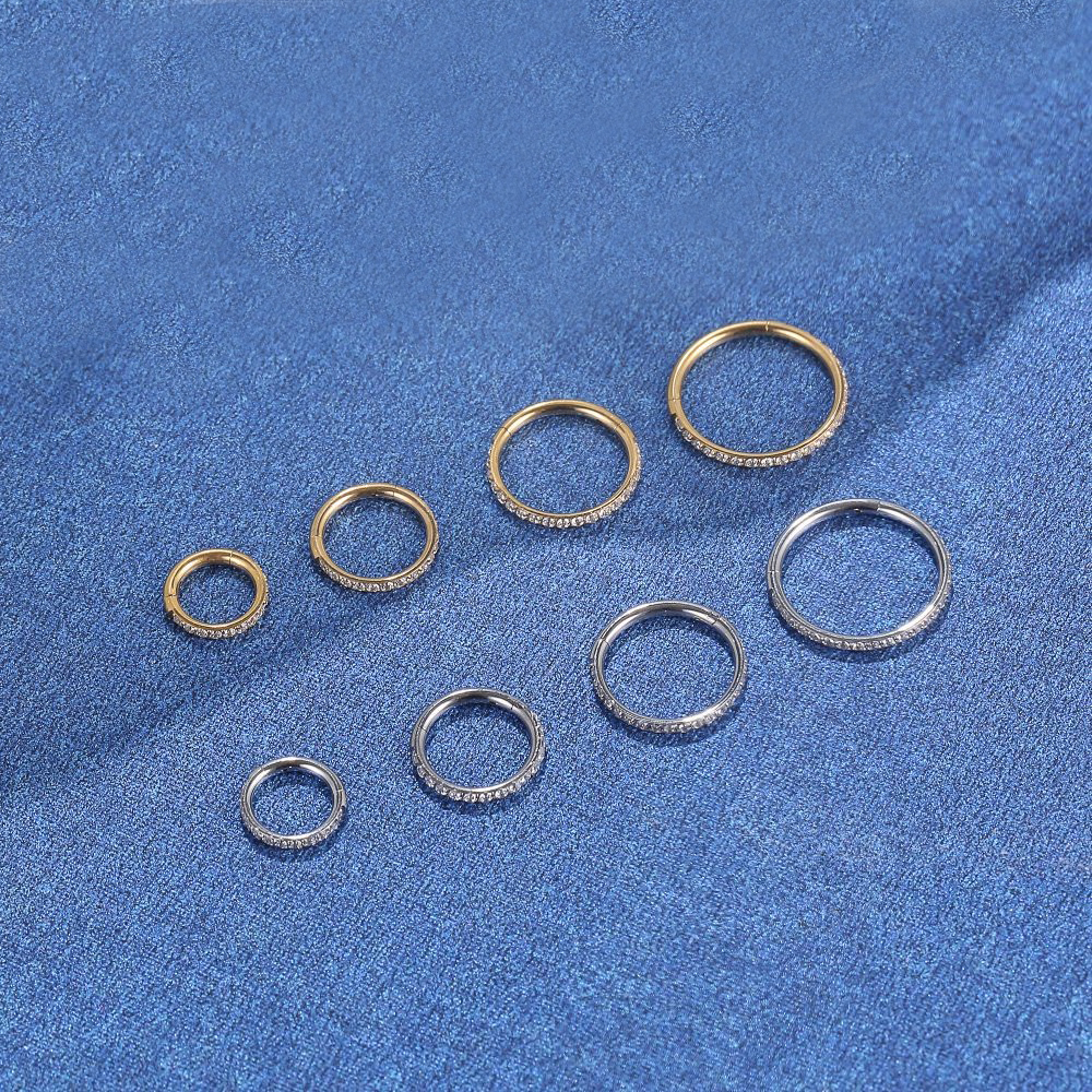 F136 Titanium Nose Ring Implan - Body Jewelry Implant Grade Titanium のレビューと価格