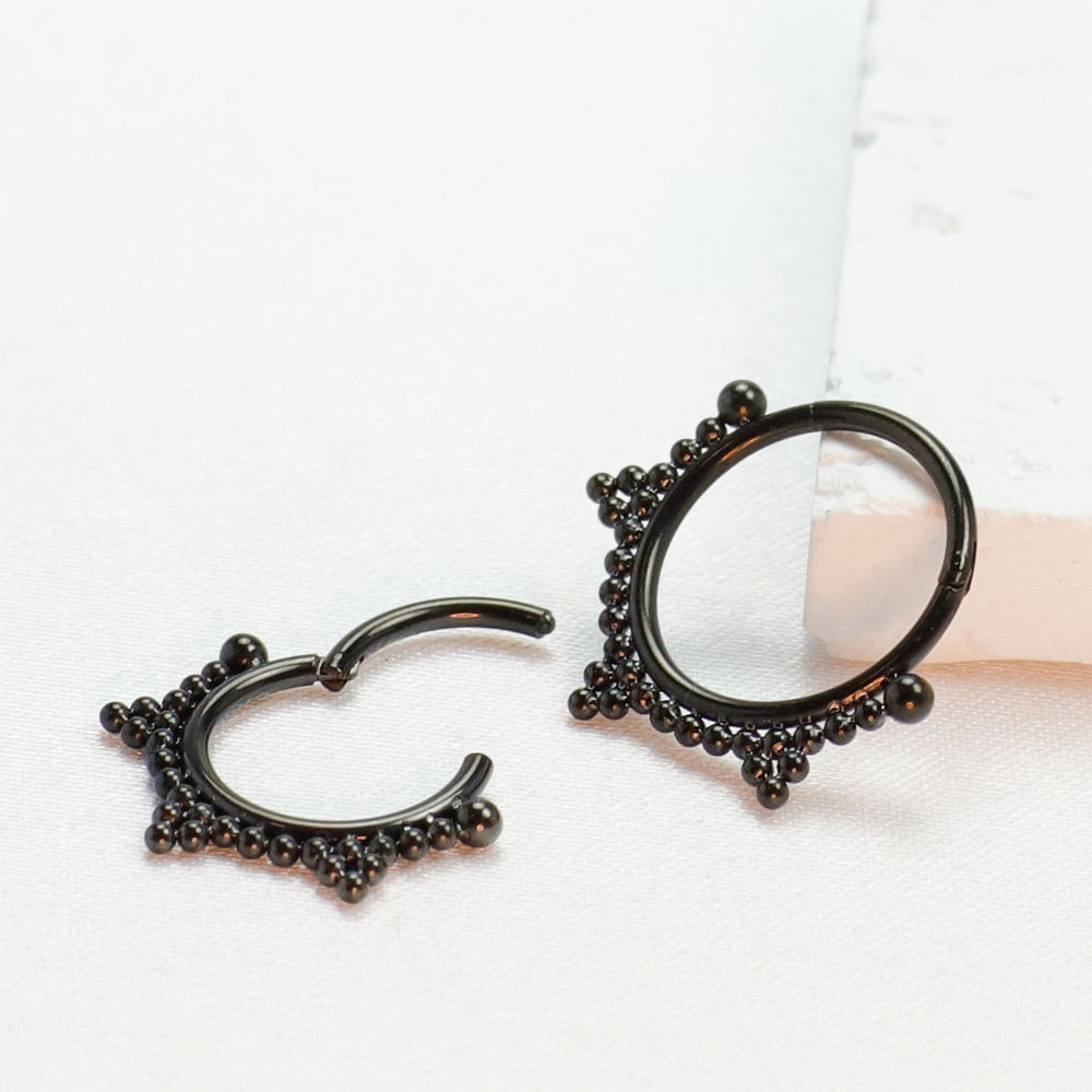 F136 Titanium Piercing Black N - Body Jewelry Implant Grade Titanium のレビューと価格