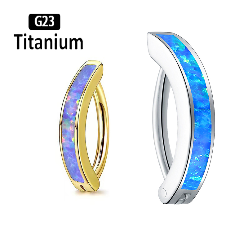 1PC 14G Implant Grade G23 Tita - Body Jewelry Implant Grade Titanium のレビューと価格