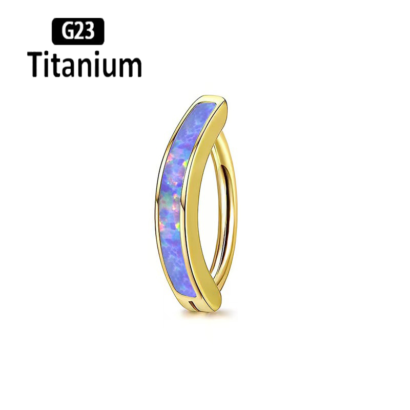 1PC 14G Implant Grade G23 Tita - Body Jewelry Implant Grade Titanium のレビューと価格