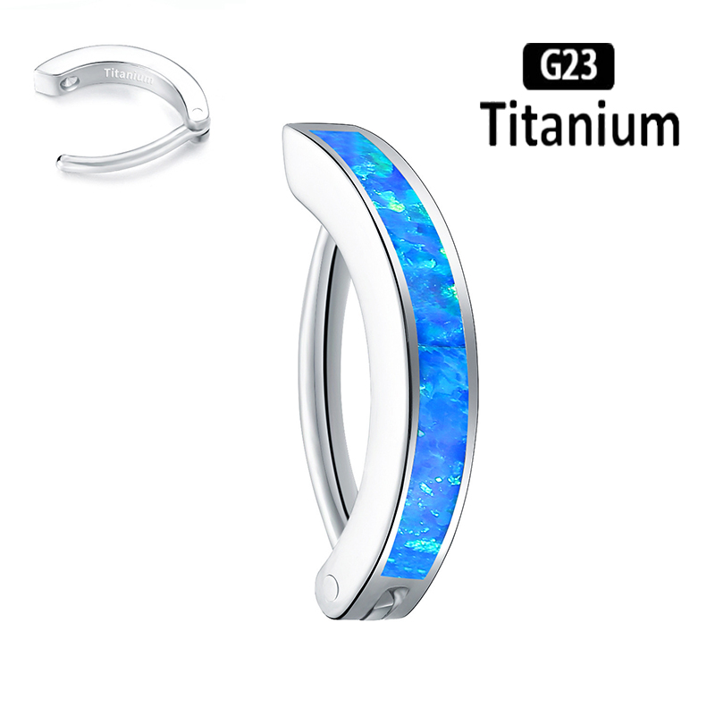 1PC 14G Implant Grade G23 Tita - Body Jewelry Implant Grade Titanium のレビューと価格