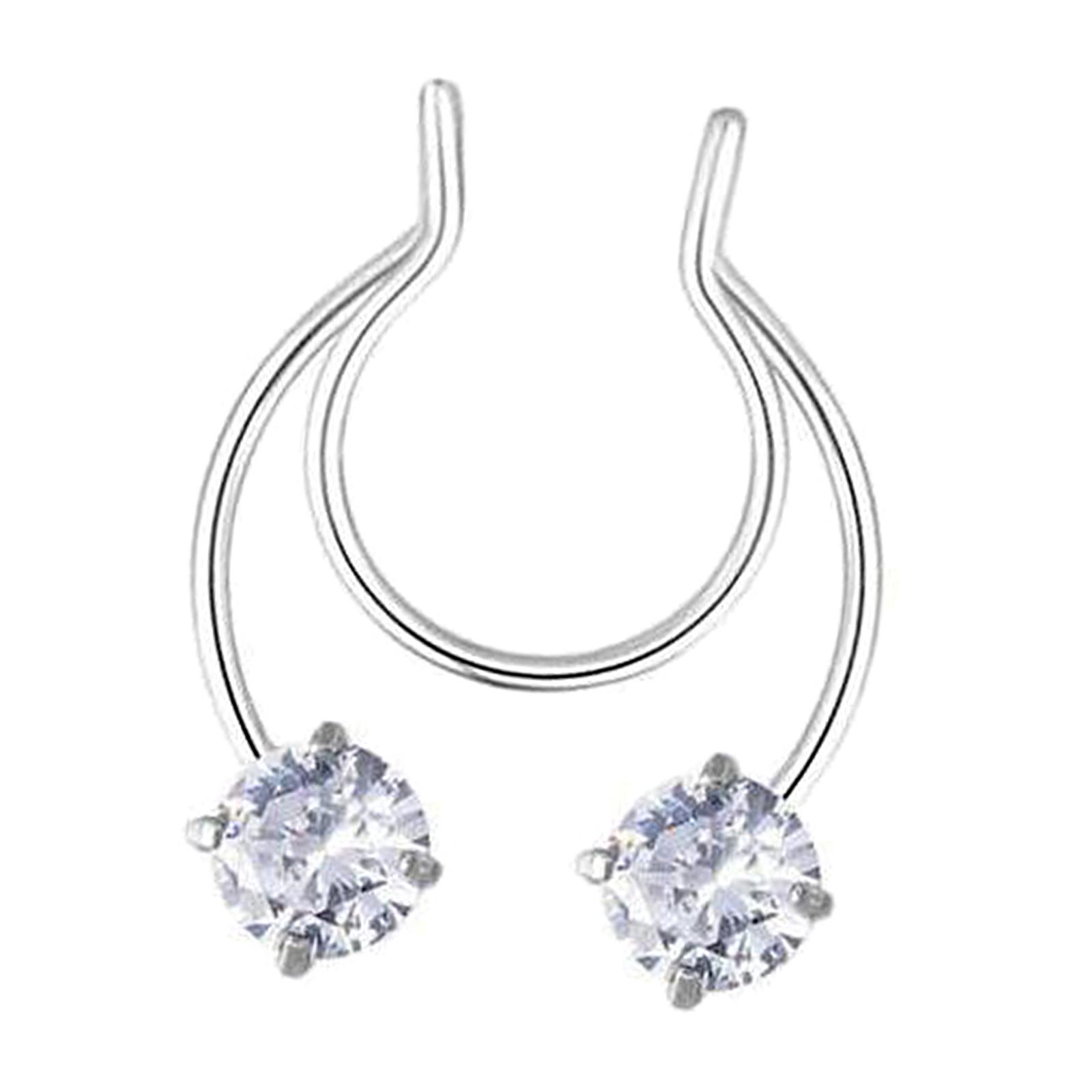High-end Stainless Steel Nose  - Body Jewelry High End のレビューと価格