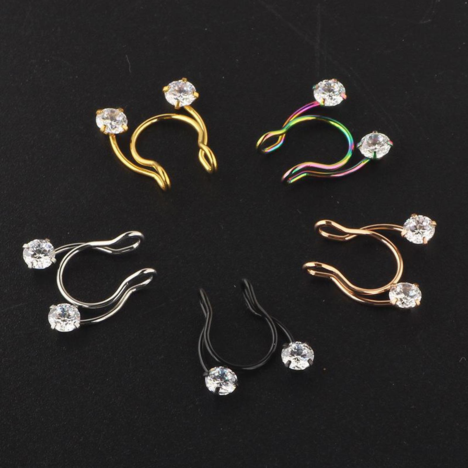 High-end Stainless Steel Nose  - Body Jewelry High End のレビューと価格