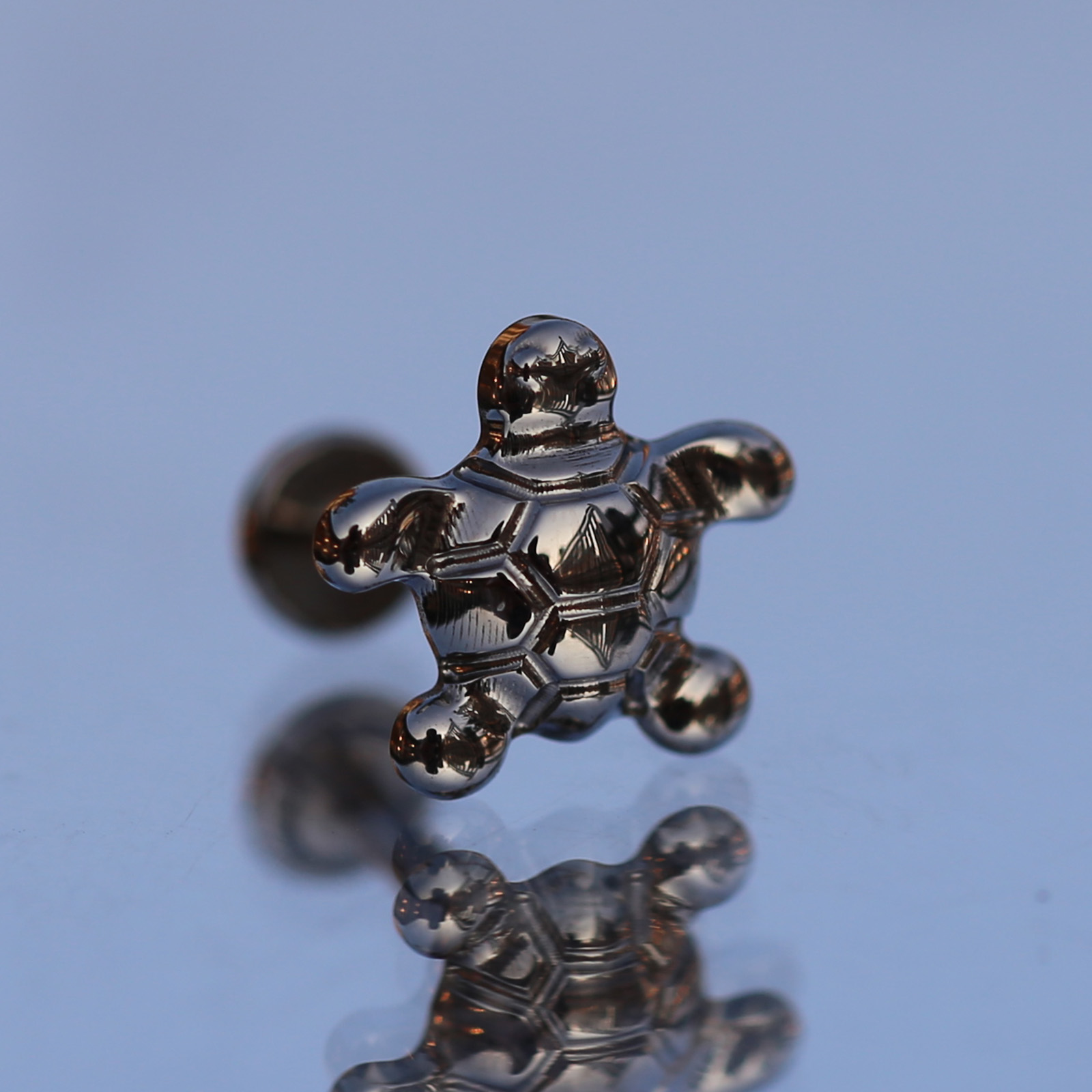 16G Implant Grade Titanium AST - Body Jewelry Implant Grade Titanium のレビューと価格