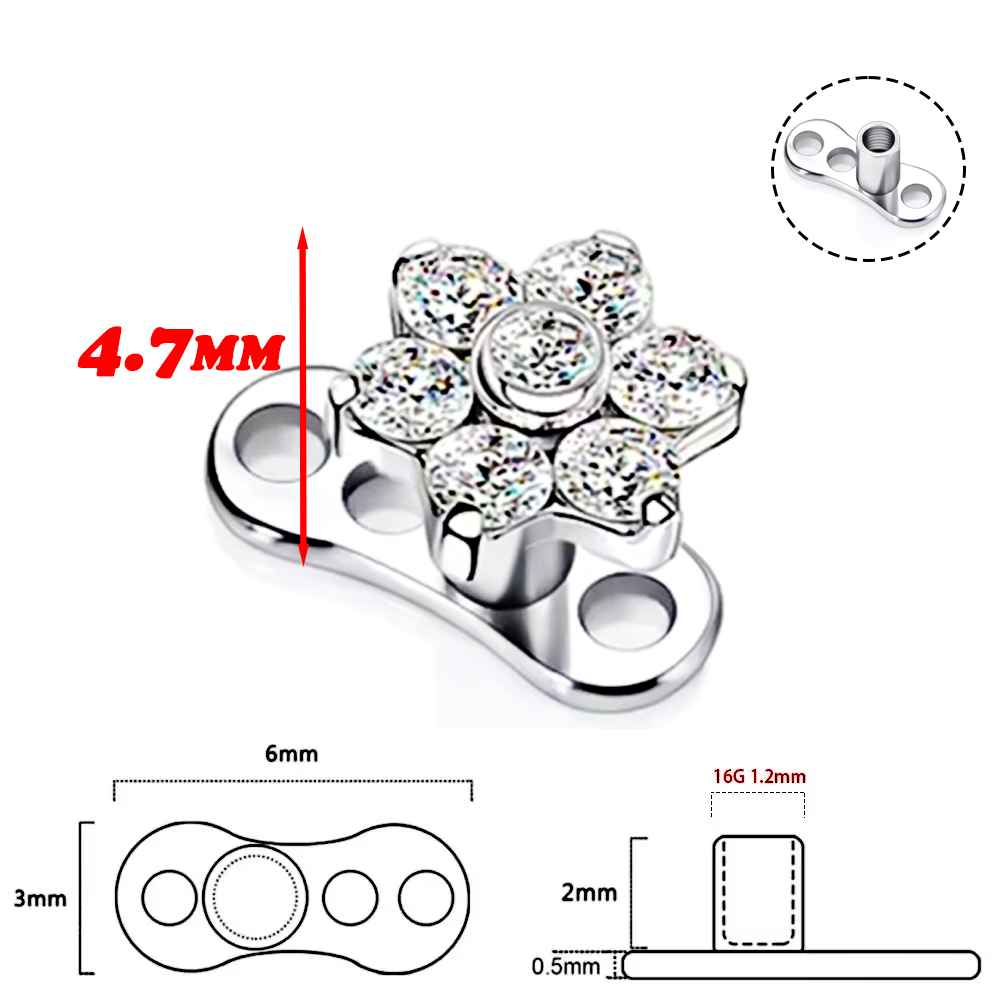 F136 Titanium Alloy High-Quali - Body Jewelry Implant Grade Titanium のレビューと価格